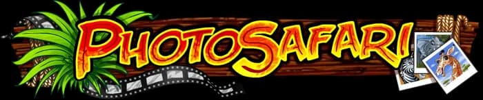 Photo Safari logo