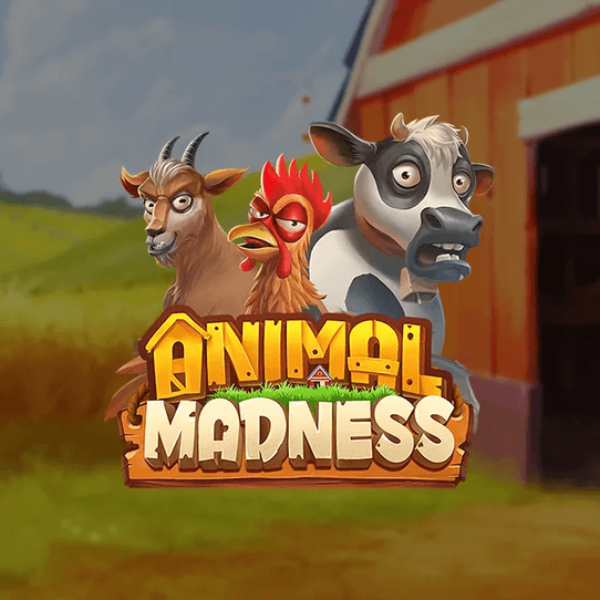 It’s just Animal Madness!