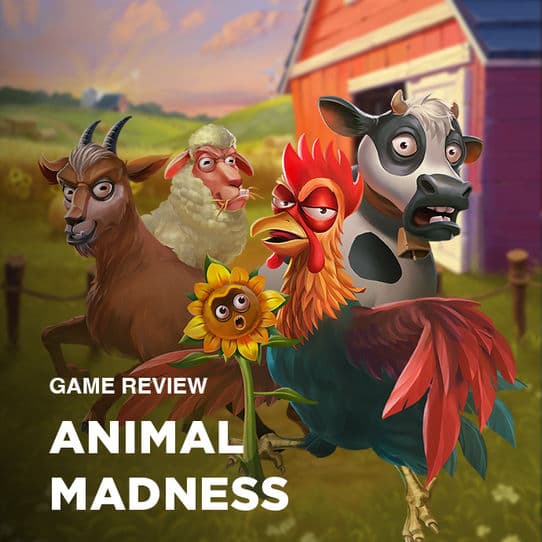Animal Madness Review - Play'n GO's frantic farmyard grid slot